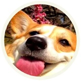 Sticker 11