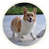 Sticker 12