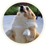 Sticker 13