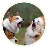 Sticker 16