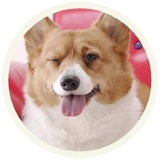 Sticker 17