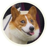 Sticker 2