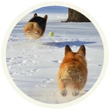 Sticker 20
