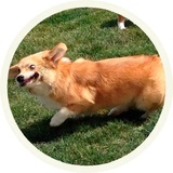 Sticker 23