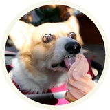 Sticker 24