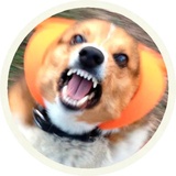Sticker 25