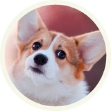Sticker 26