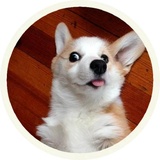 Sticker 27