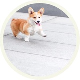 Sticker 28