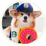 Sticker 29
