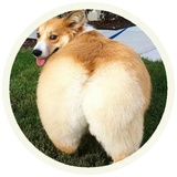 Sticker 3