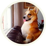 Sticker 30