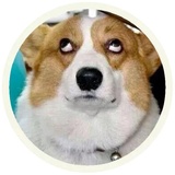 Sticker 5