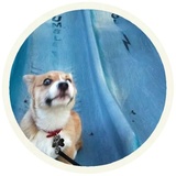 Sticker 9