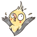 Sticker 10