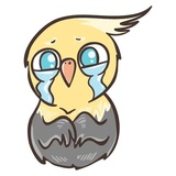 Sticker 14