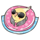 Sticker 25
