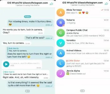 iOS WhatsApp Theme